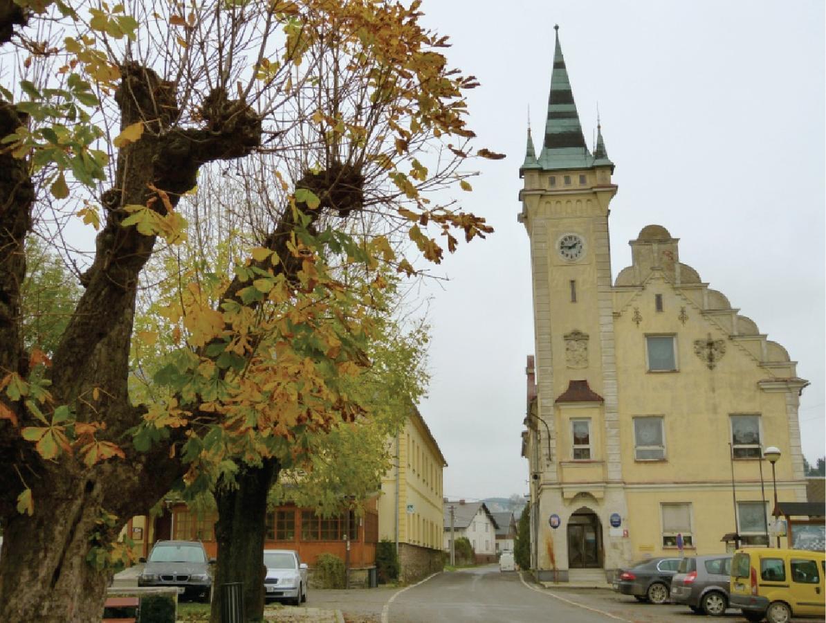 Hotel X-Park Frantiskov Jindrichov Zewnętrze zdjęcie